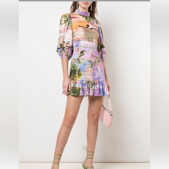 CYNTHIA ROWLEY Catalina ruffle mini dress - Picture 2 of 7